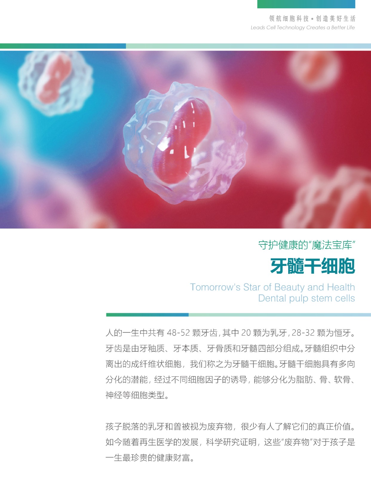 什么是干细胞-14.jpg